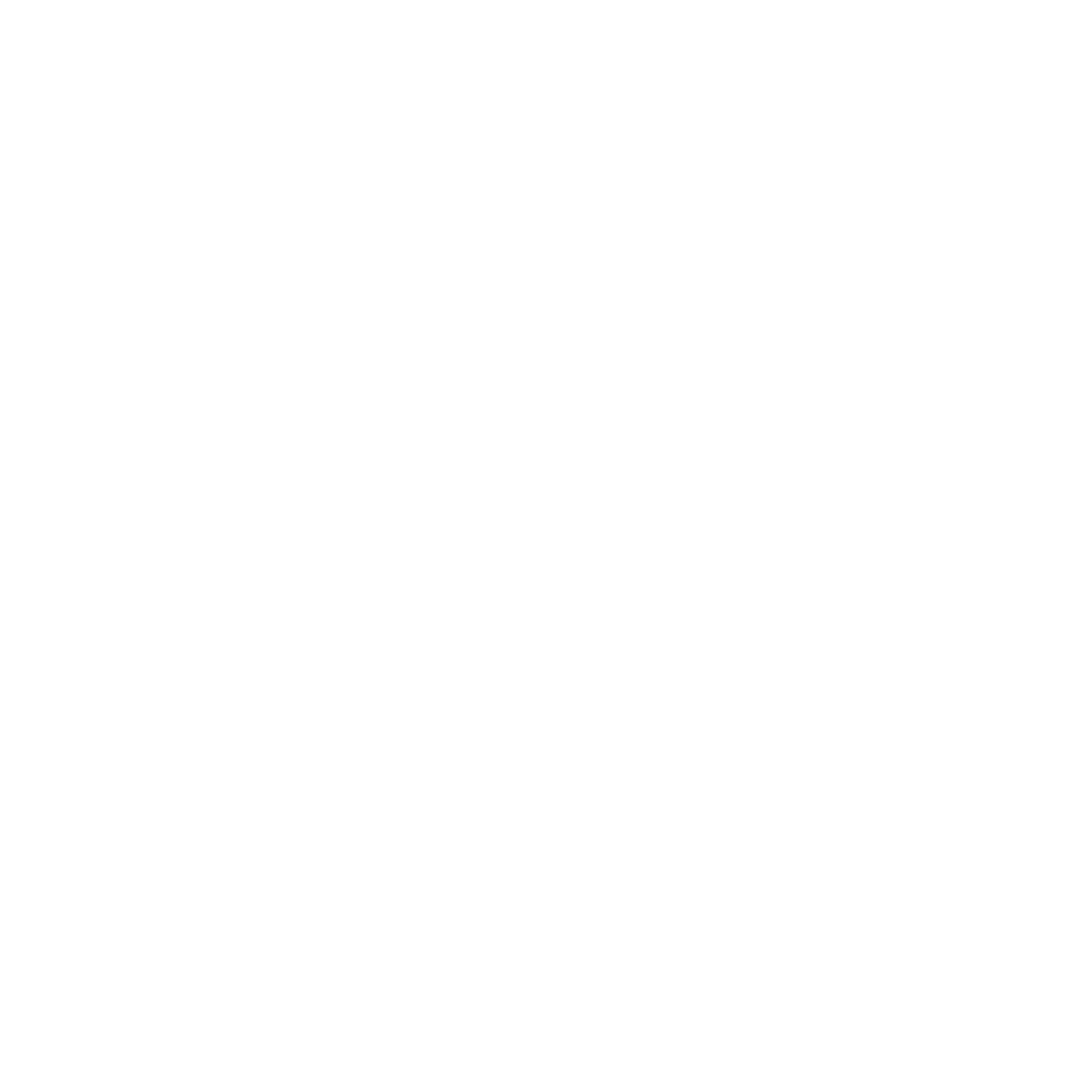 Soar-fork Logo